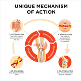 Collanol Collagen Supplement side view highlighting capsule design