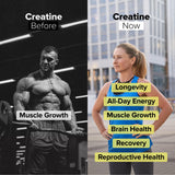 Complement Creatine Monohydrate 300g powder in a glass of water