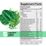 Complement Daily Greens Powder 300g ingredients close-up