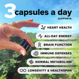 Complement Vegan Multivitamin capsule close-up