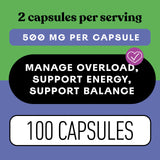 Complete Natural Products Ashwagandha Capsules 500mg with measuring spoon