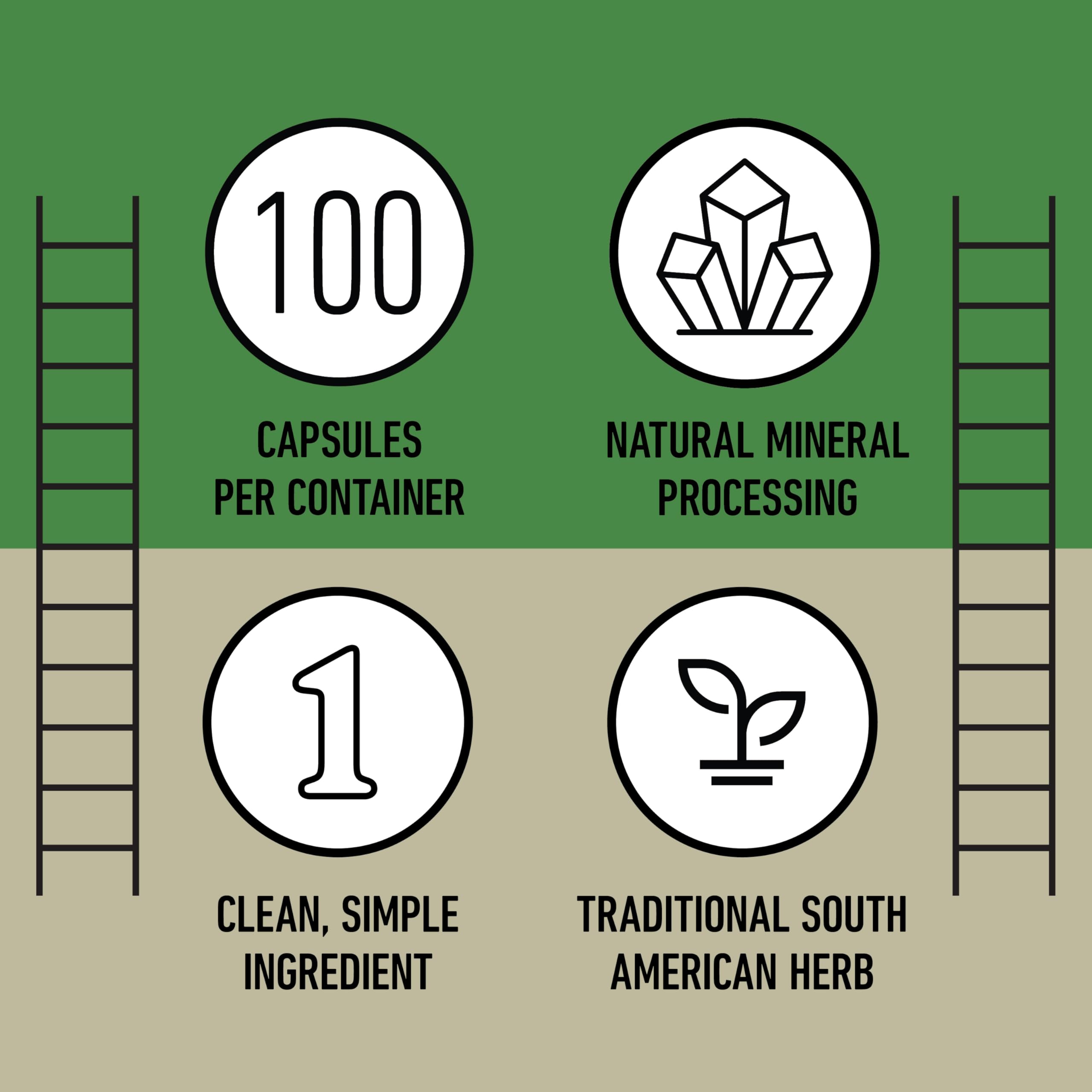 Complete Natural Products Chanca Piedra Organic Capsules with herbs
