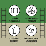 Complete Natural Products Chanca Piedra Organic Capsules with herbs