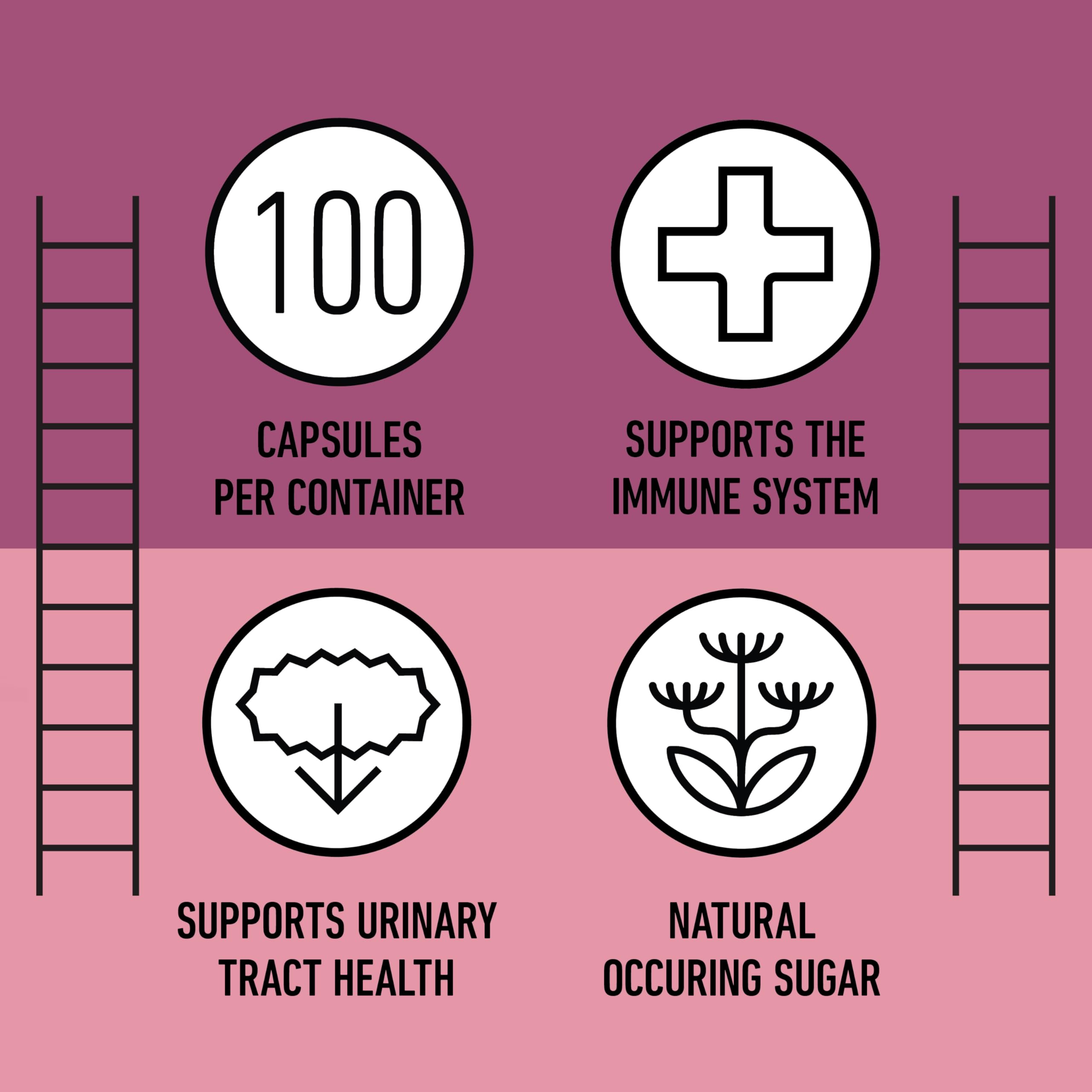 Complete Natural Products Cranberry D-Mannose Capsules in a natural setting