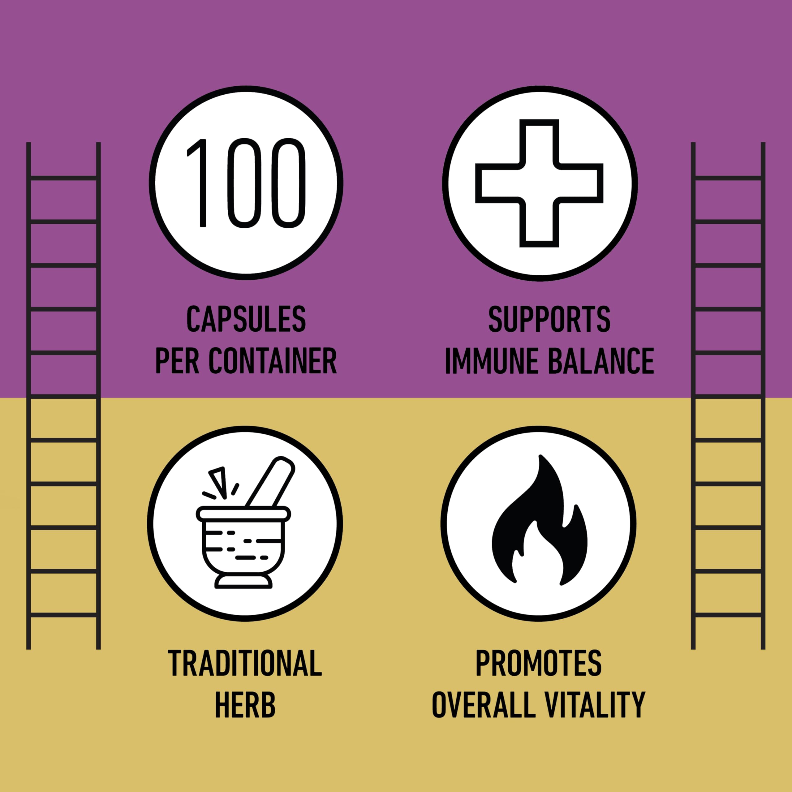 Complete Natural Products Echinacea Capsules packaging details