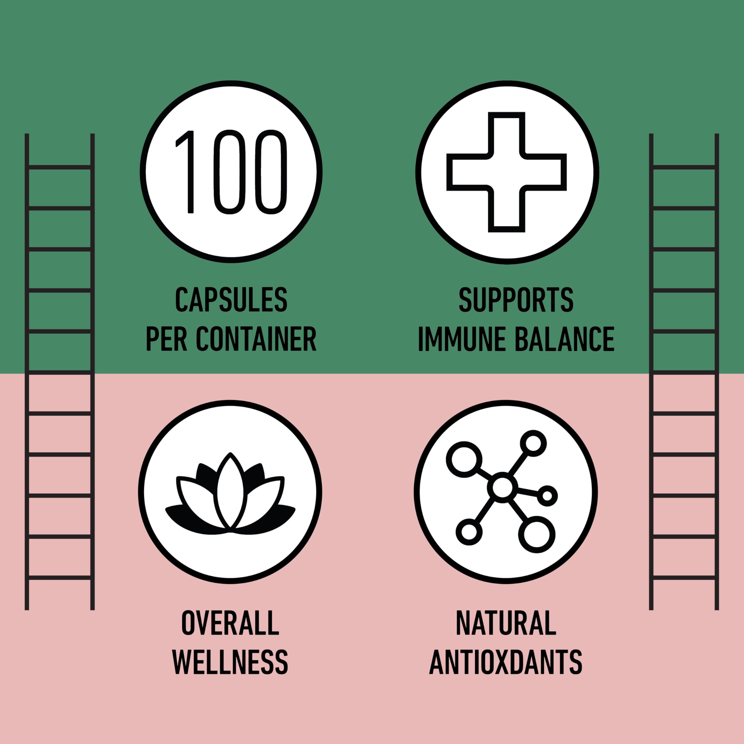 Complete Natural Products Hibiscus Capsules top view