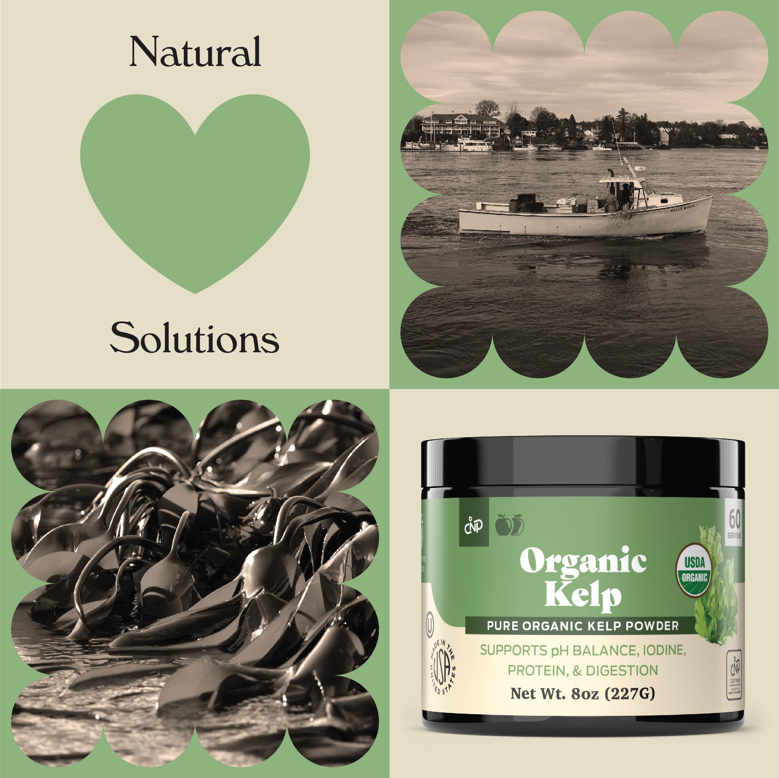 Complete Natural Products Sea Kelp Extract Powder ingredients list