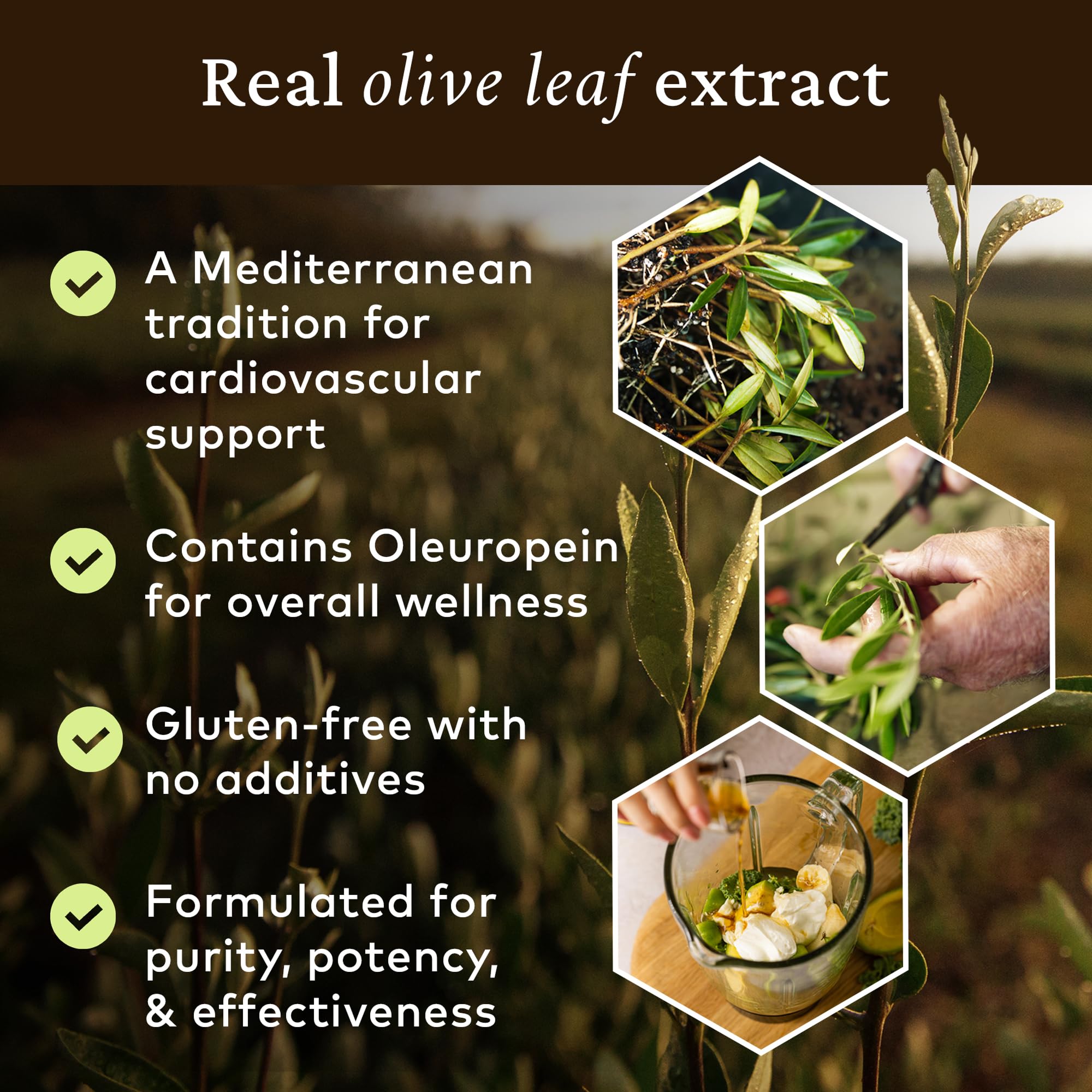 COMVITA Olive Leaf Extract 560g served in a glass