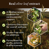 COMVITA Olive Leaf Extract 560g served in a glass