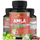 Cona Nature Amla Capsules 120 count bottle front view