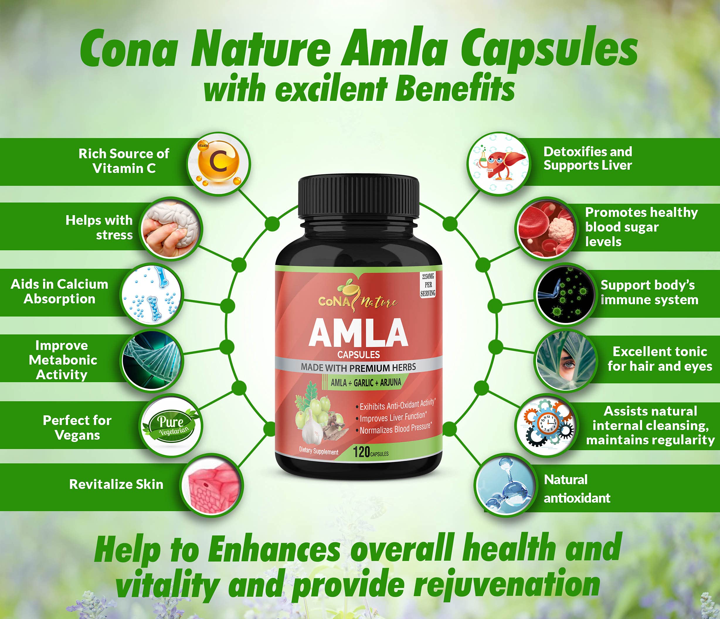 Cona Nature Amla Capsules with garlic and arjuna ingredients