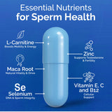 CONCEIVE PLUS Men's Fertility Support Capsules with packaging