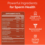 CONCEIVE PLUS Men's Motility Support capsules on a wooden table