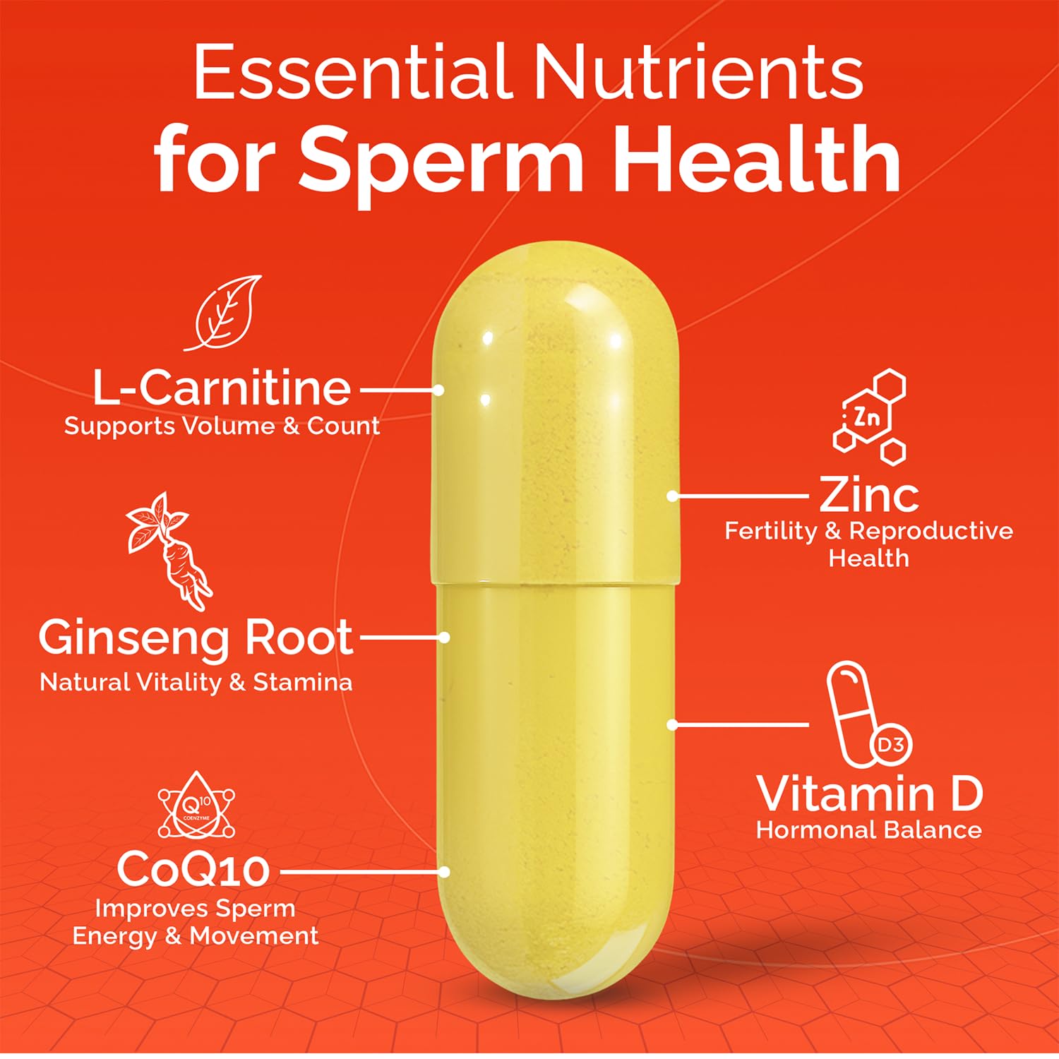 CONCEIVE PLUS Men's Motility Support ingredients list