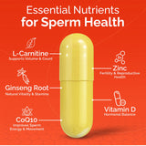 CONCEIVE PLUS Men's Motility Support ingredients list