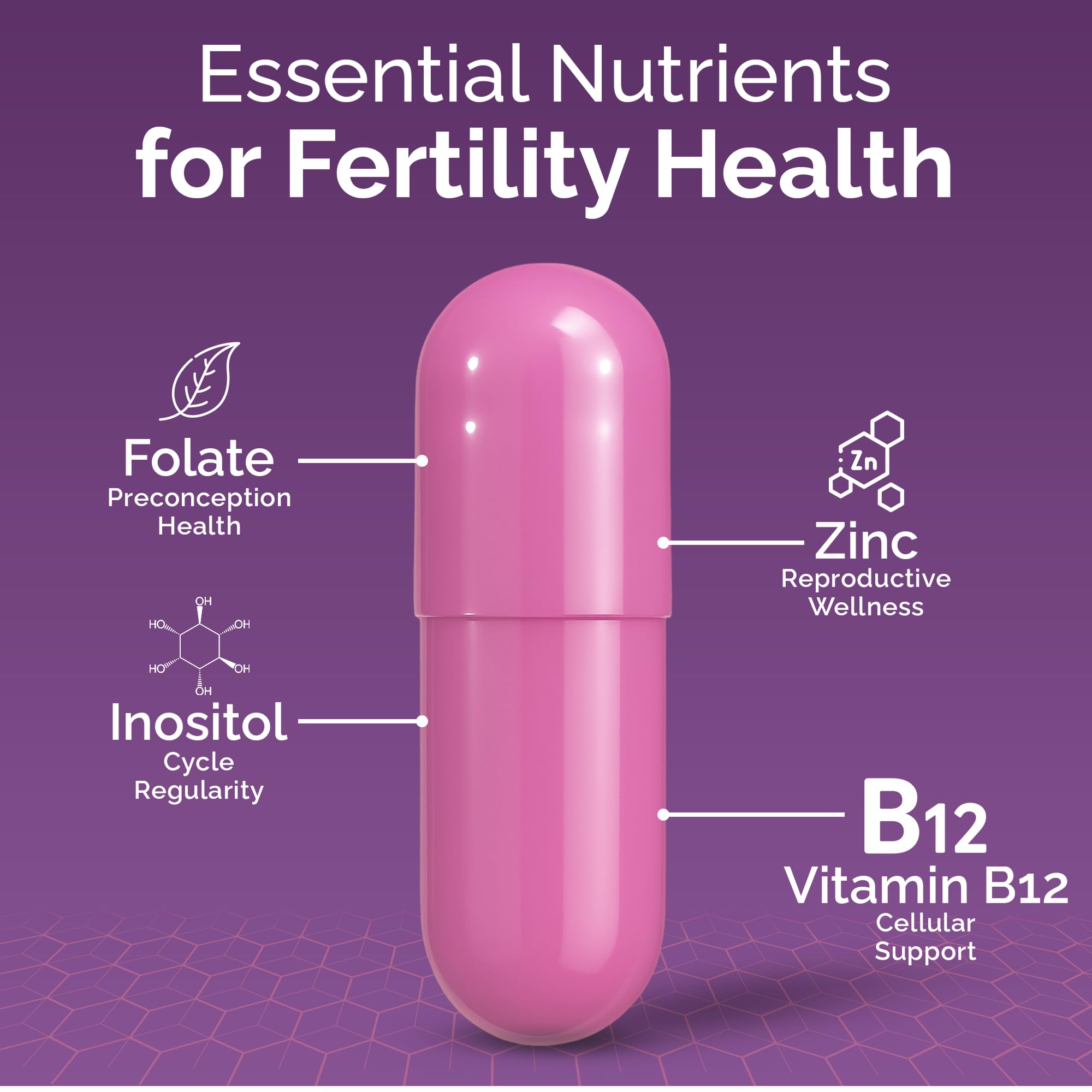 CONCEIVE PLUS Prenatal Vitamins 60 Capsules back view