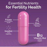 CONCEIVE PLUS Prenatal Vitamins 60 Capsules back view