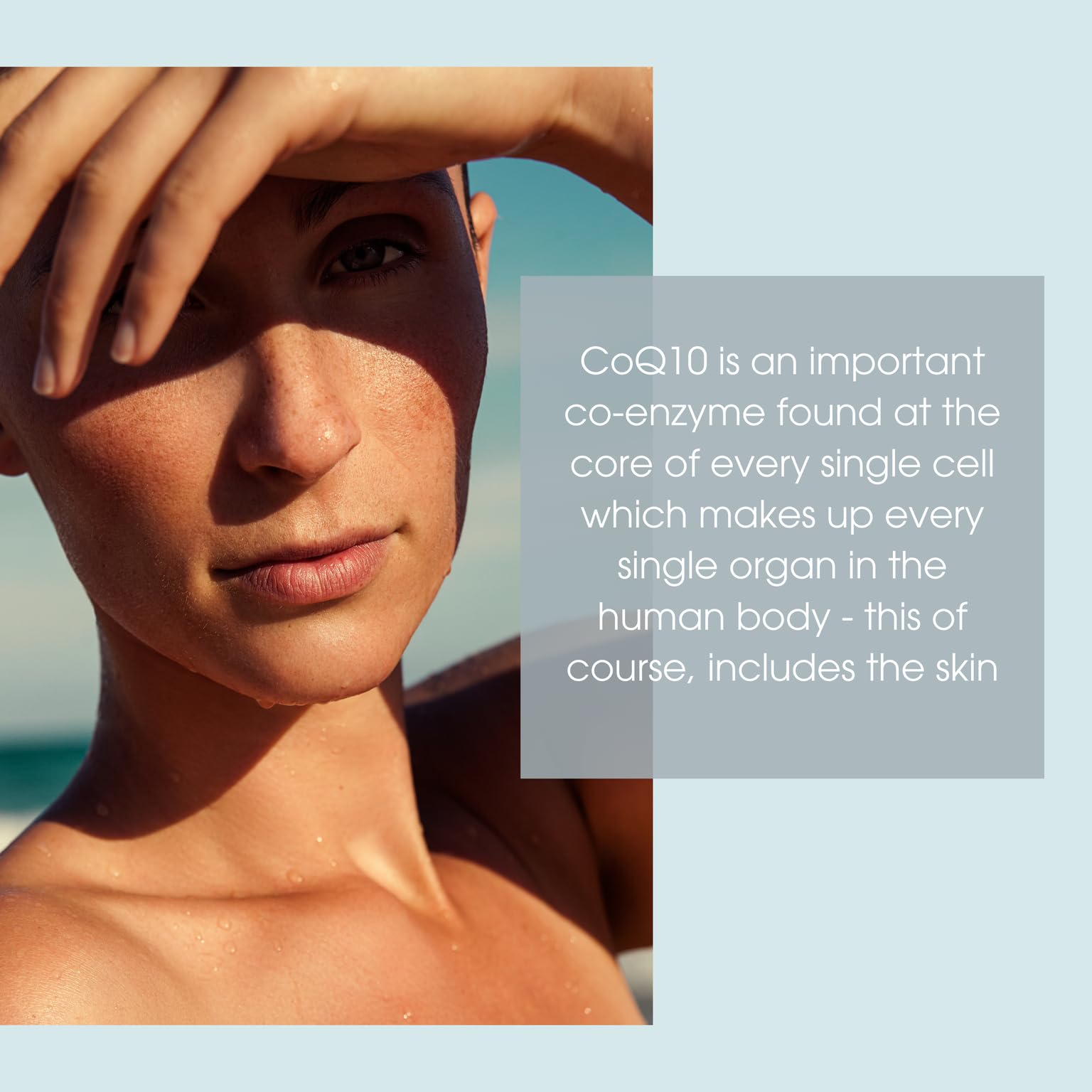 Consult Beaute CoQ10 Serum 28g back view with ingredient list