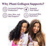 Copina Co. Vegan Collagen Support Creamer 125g Vanilla ingredients list