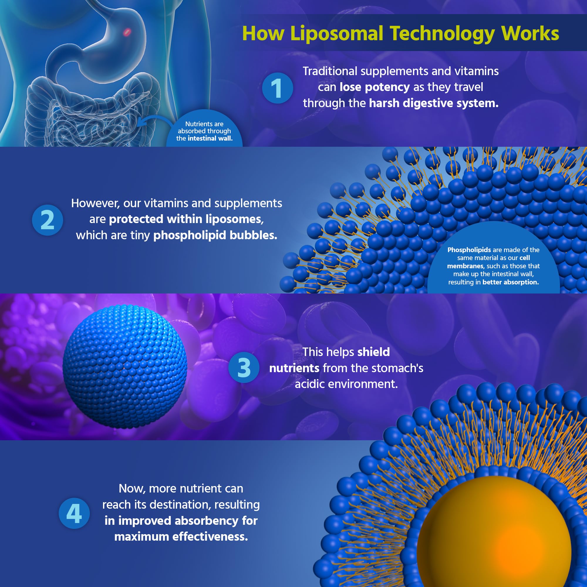 Core Med Science Liposomal Glutathione 4 fl. oz. bottle on a countertop