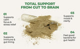 COREHEALTH Probiotic + Nootropic Blend 30 Billion CFU ingredients list