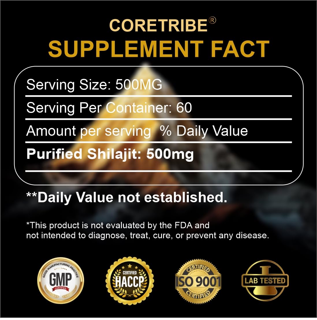 Coretribe Shilajit Resin 30g close-up of resin