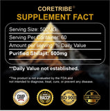 Coretribe Shilajit Resin 30g close-up of resin