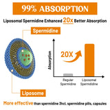 CORPORALIGHT Spermidine Supplement 30mg softgel ingredients list