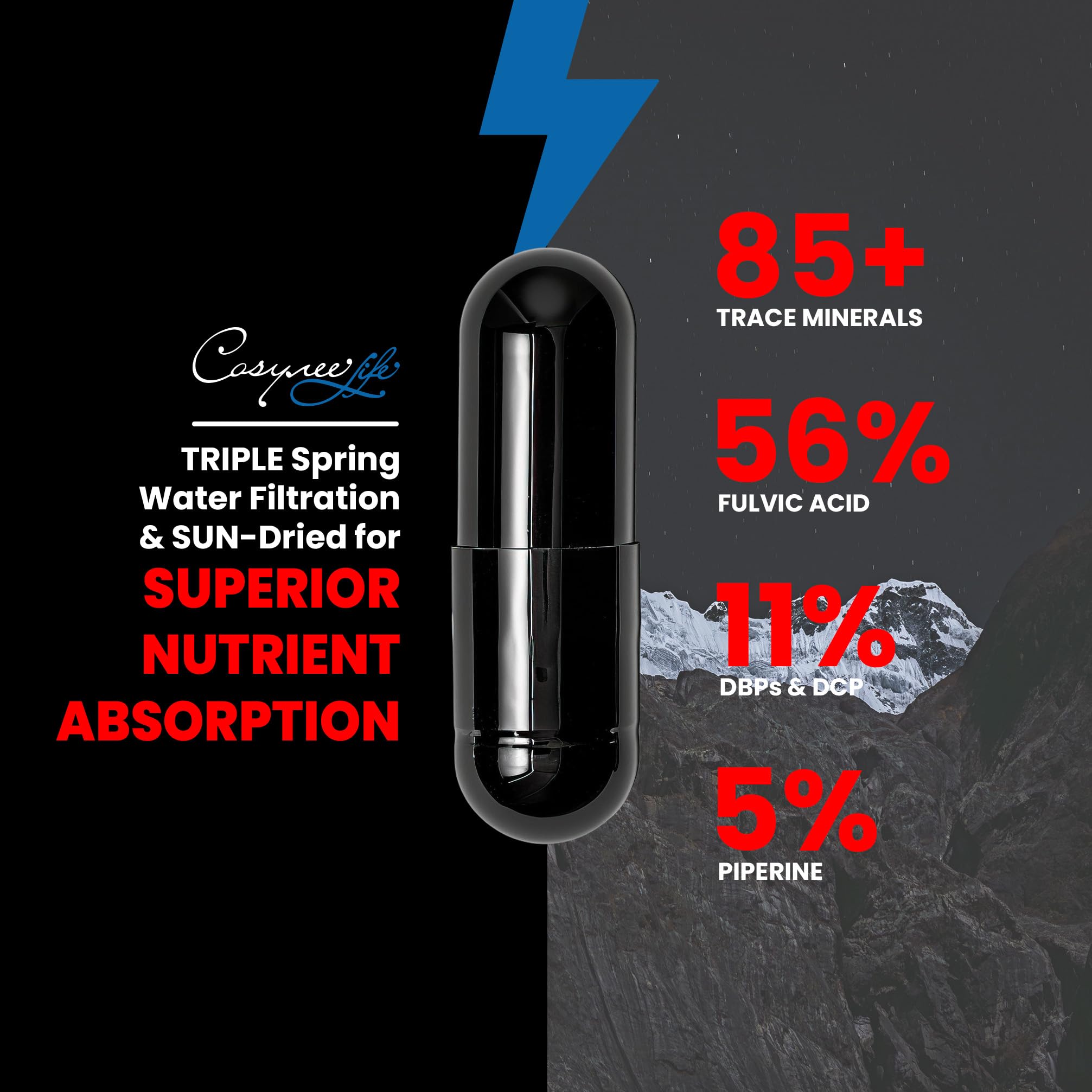 cosynee Shilajit & Fulvic Acid supplement bottle with label