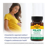 Country Life Folate 800 mcg supplement ingredients list