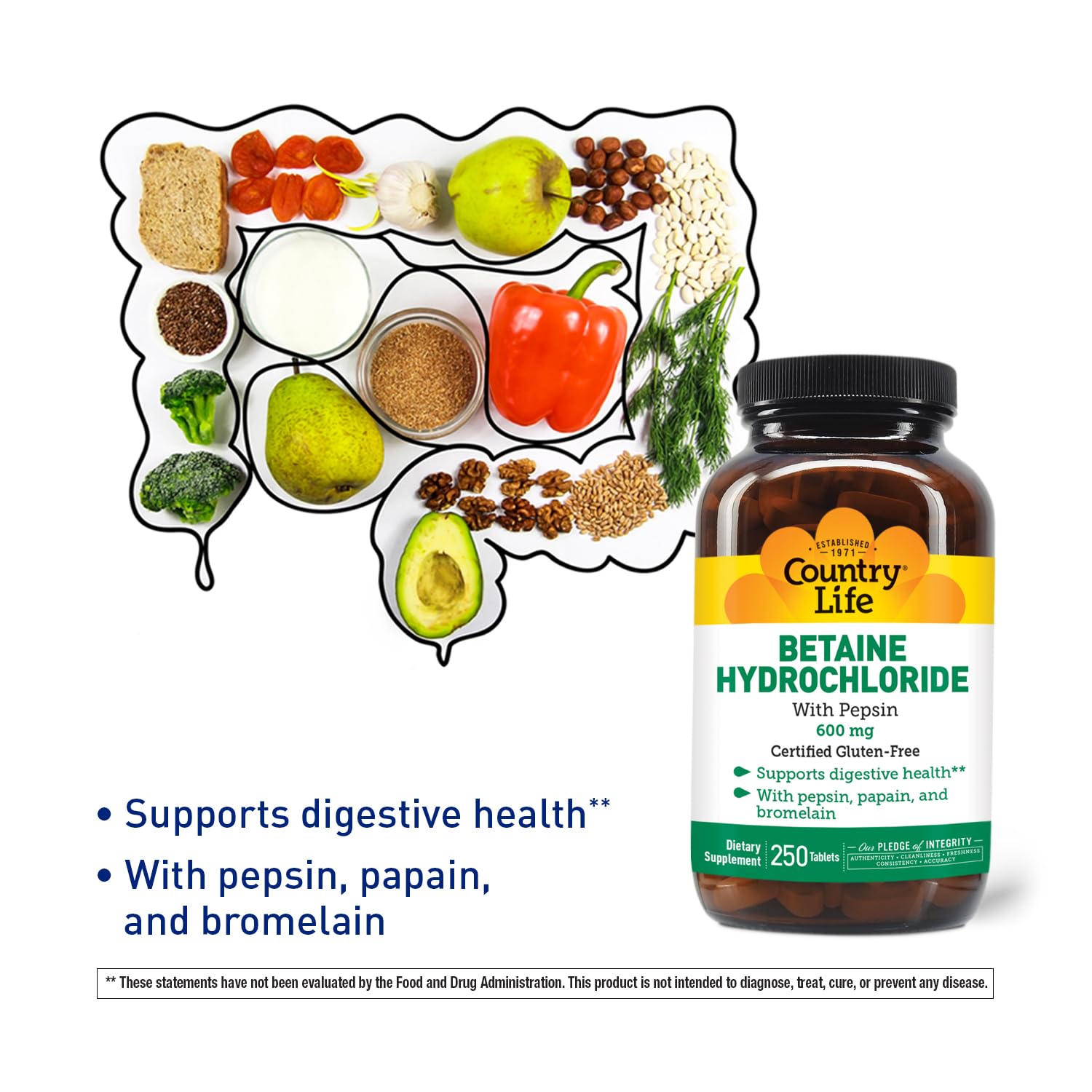 Country Life Multi-Enzymes Supplement 544g back view