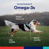 Covetrus Omega-3 soft gel capsules in a bowl