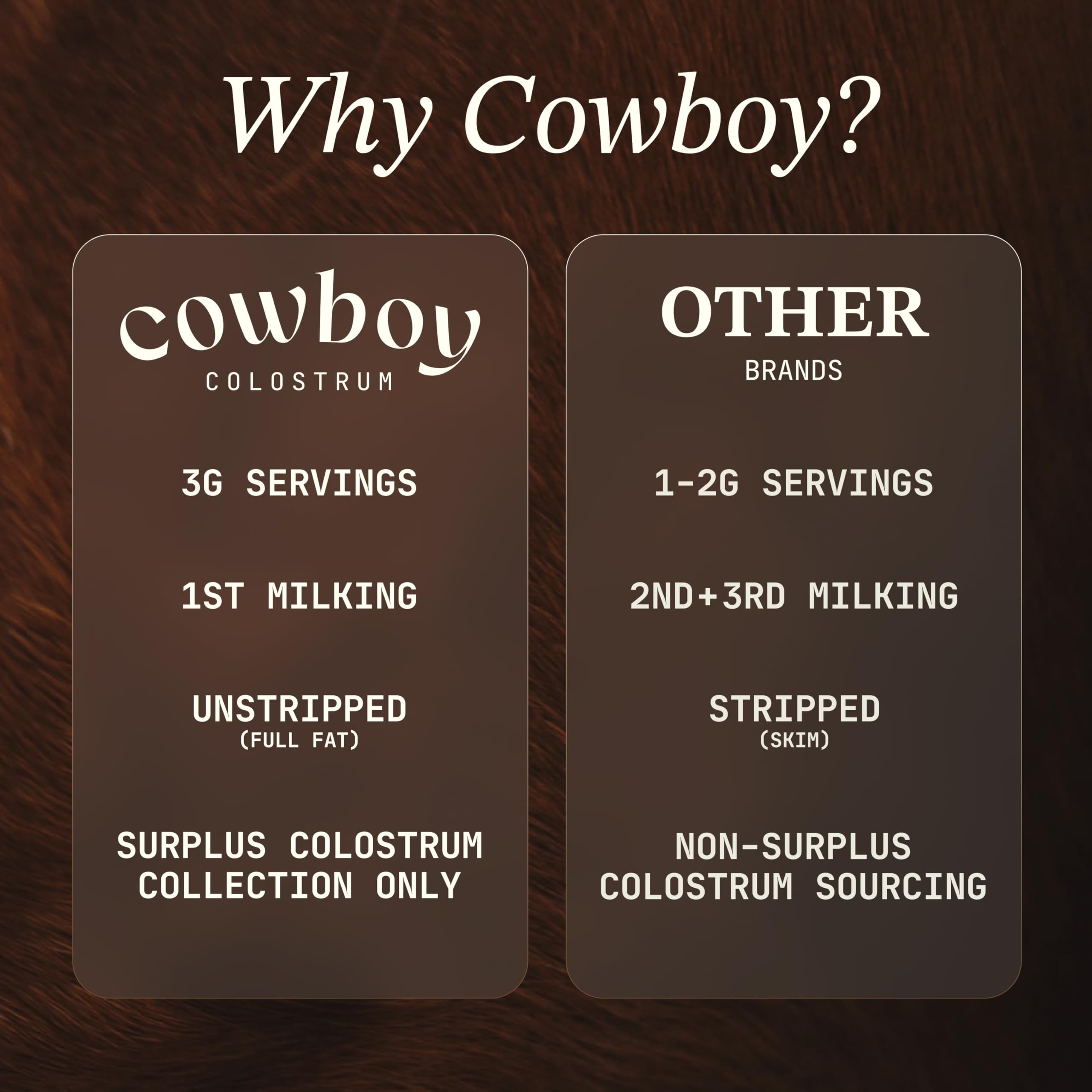 COWBOY COLOSTRUM Colostrum Powder mixed in a smoothie