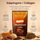 Curvani Mushroom Coffee Blend powder close-up