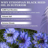 cxuhui Black Seed Oil Capsules label detail showing ingredients