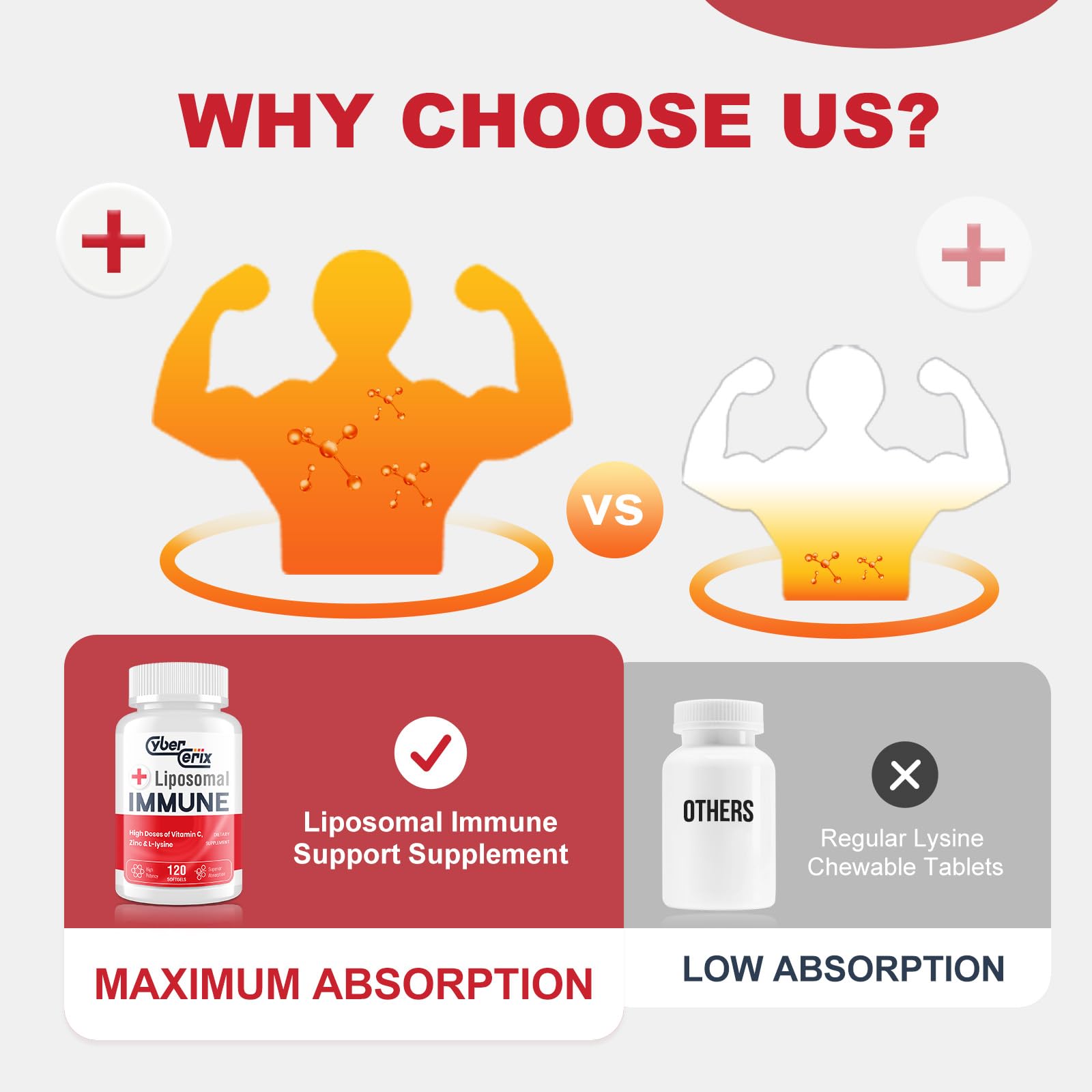 CyberCerix L-Lysine Supplement 1500mg nutritional information