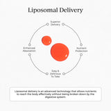 CYMBIOTIKA B12 + B6 Liposomal Supplement ingredients list