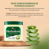 Dabur Herbolene Aloe Petroleum Jelly texture close-up