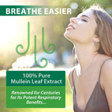 Daiasns Mullein Leaf Extract in lifestyle setting