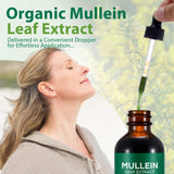 Daiasns Mullein Leaf Extract with droplet format