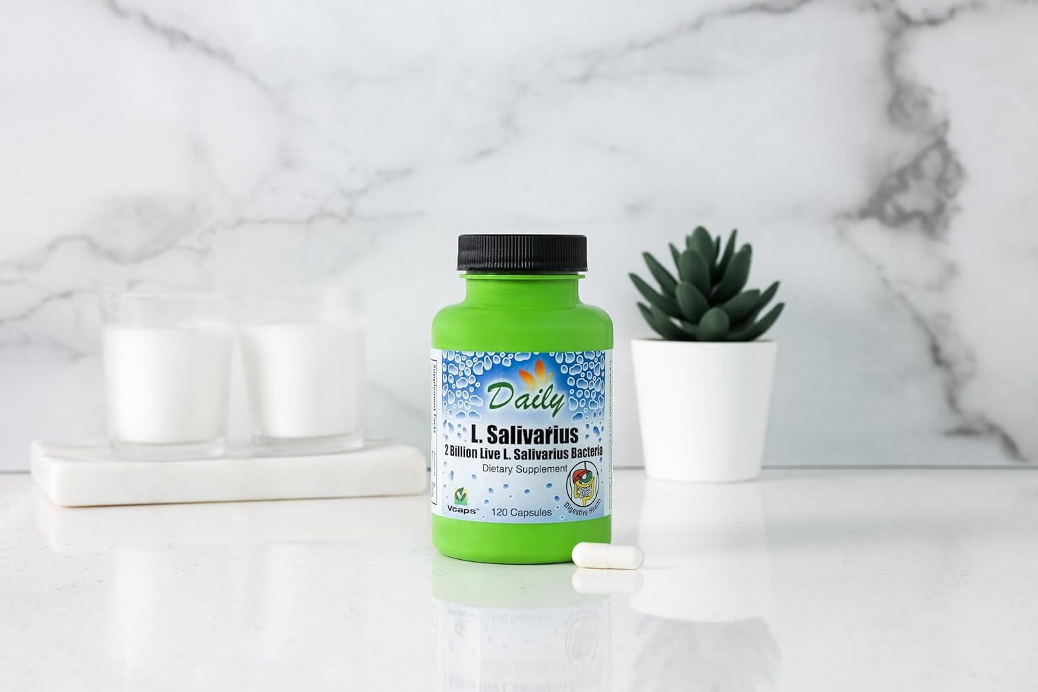 Daily Manufacturing L-Salivarius Probiotic Supplement bottle side view