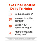 Daily Nouri Omega-3 Probiotic Capsules on a wooden table