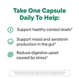 Daily Nouri Stress Probiotic bottle with label