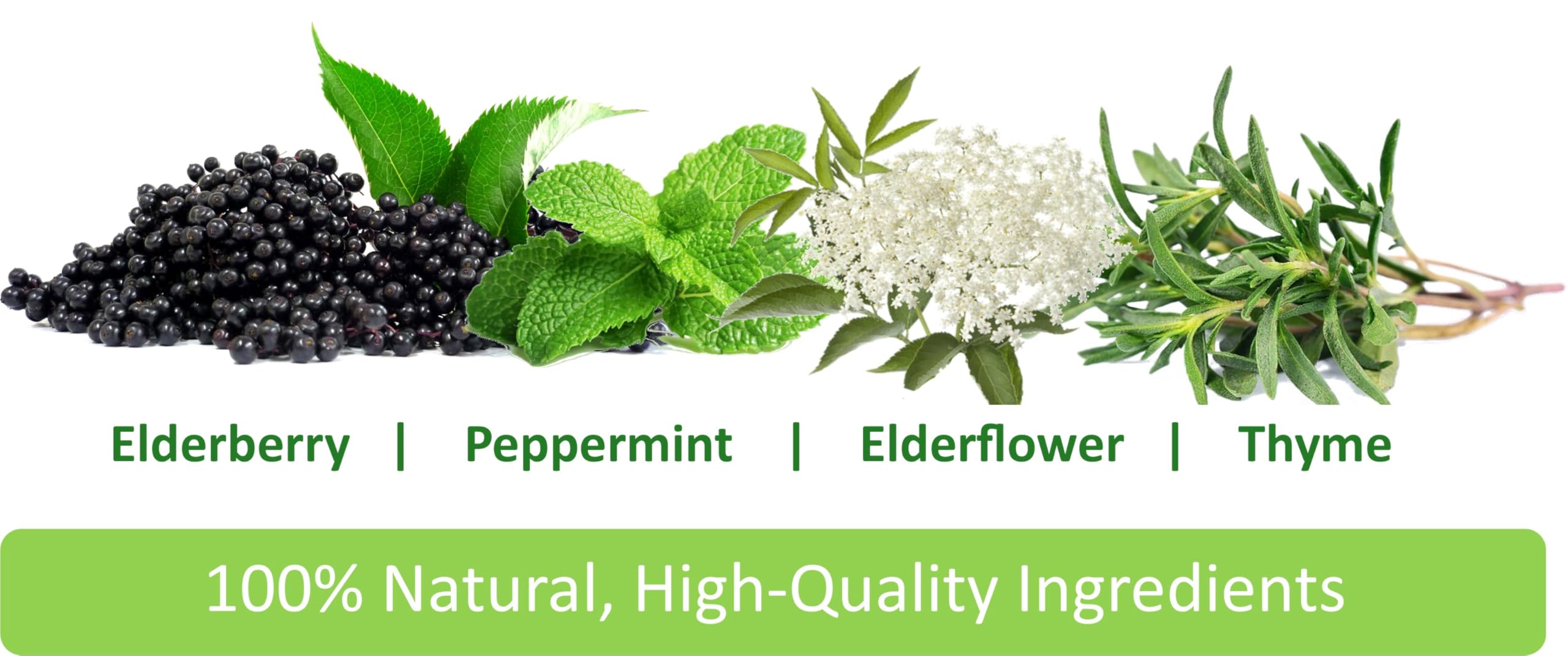 daily wellness Elderberry Syrup 120ml with fresh elderberries and herbs