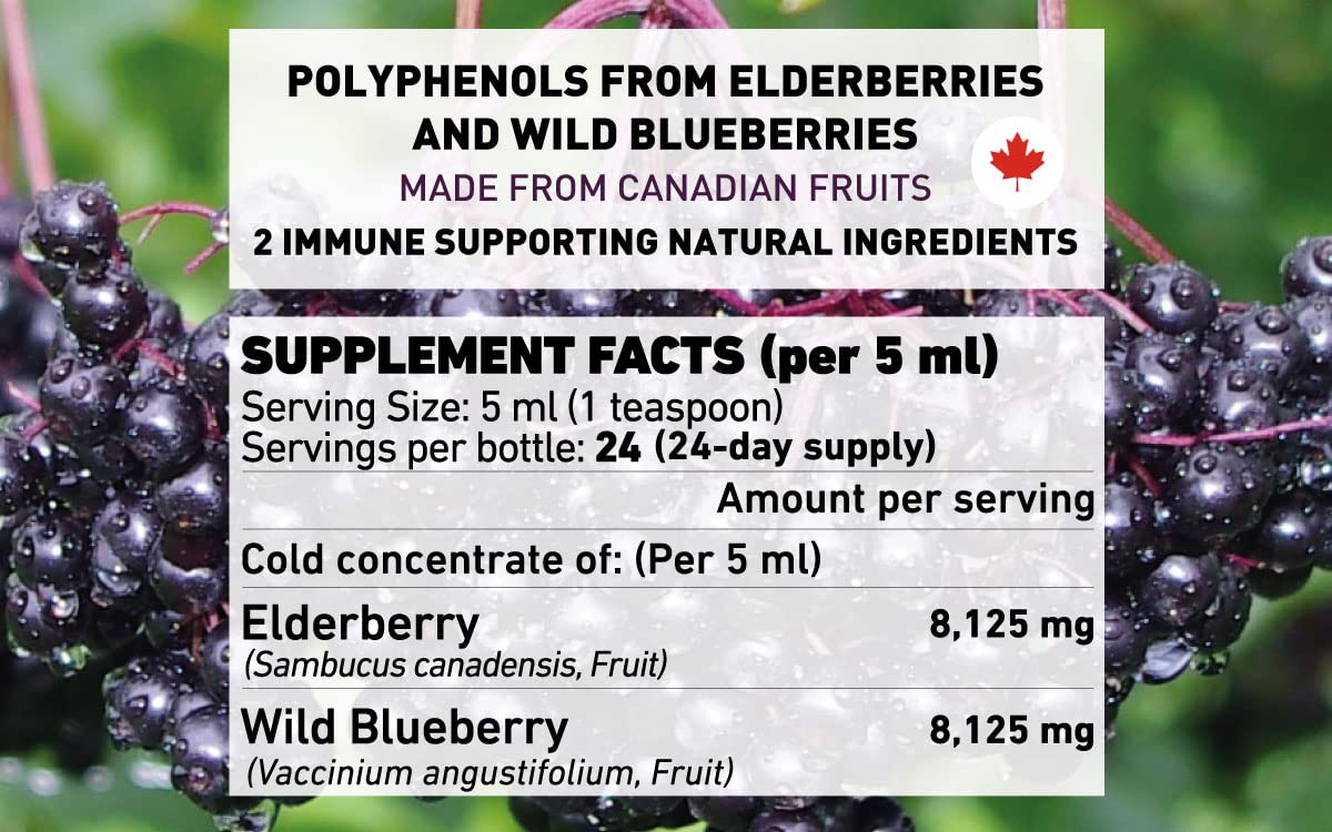 daily wellness Elderberry & Wild Blueberry Concentrate 120ml with fresh elderberries