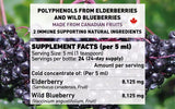 daily wellness Elderberry & Wild Blueberry Concentrate 120ml with fresh elderberries