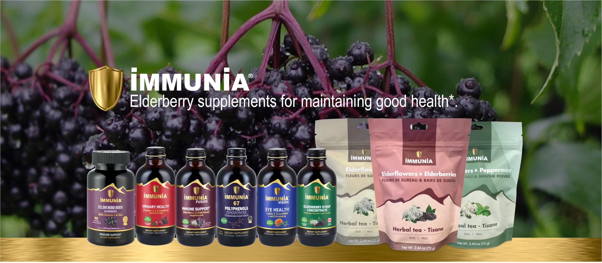 daily wellness Elderberry & Wild Blueberry Concentrate 120ml with wild blueberries