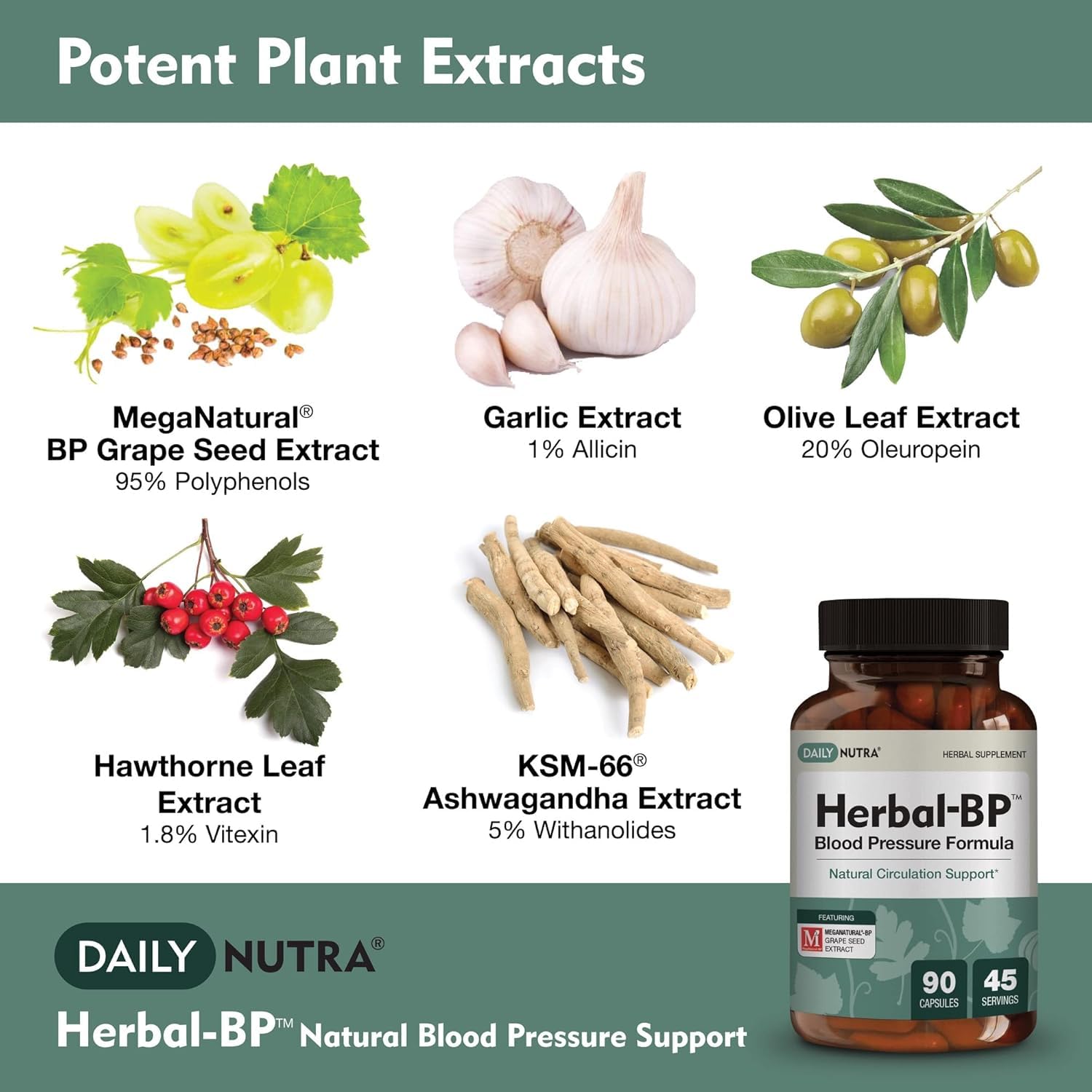 DailyNutra Grape Seed Extract capsules close-up