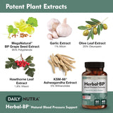 DailyNutra Grape Seed Extract capsules close-up