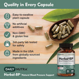 DailyNutra Grape Seed Extract supplement with ingredients